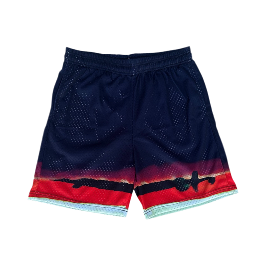 One-of-a-kind mesh shorts inspired by the Third Impact from End of Evangelion. Scenic brush stroke design in red and black across the hem, printed on lightweight athletic mesh. Size Large. Navy, Red and White.